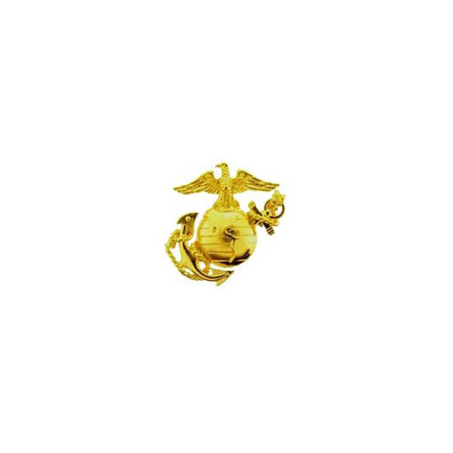 Left Medium Gold 1-1/4 Inch Usn Pin
