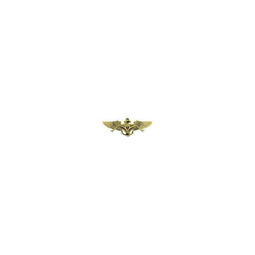 Wing Bush USN Pilot