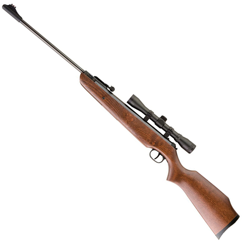 Ruger Air Hawk Air Rifle Combo
