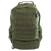 Raven X MOLLE Large Assault Backpack