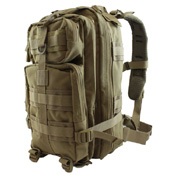 Raven X MOLLE Small Assault Backpack